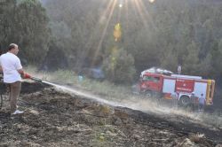 Batman’da orman yangını