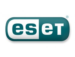 Bilgi Hırsızlığı Artıyor Almamız Gereken Önlemler Neler?