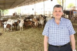 Zootekni Bölümü kontenjanları 11 üniversiteye indirildi