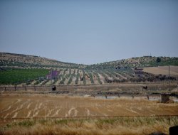 DAEŞ, Cerablus'taki hendekleri derinleştiriyor