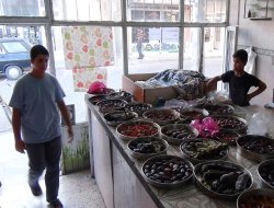 Ceylanpınarlı fırıncıların tavalarla başları belada