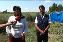 Çukurova’da mevsimlik tarım işçilerinin bitmeyen çilesi