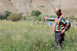 Tırtıllar Karlıova’da ormanlara zarar veriyor