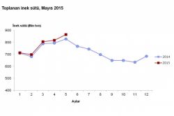İnek sütü üretimi ve ürünlerinde artış