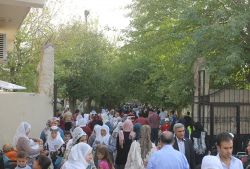 Mezarlıklar doldu taştı