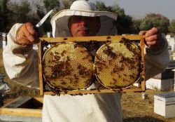 Kaliteli bal için 12 yıldır Ordu’dan Ağrı’ya geliyor