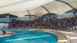 Hayvanat bahçesi bayramda ziyaretçi akınına uğradı