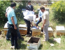 Şirvan Arıcılıkta Artık Daha Bilinçli