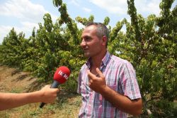 ‘Tarlada 40 kuruş olan ürün markette 4 TL’ye satılıyor’