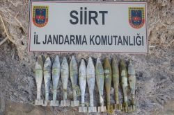 Siirt’te mühimmat ele geçirildi