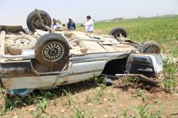 Ceylanpınar’da otomobil tarlaya uçtu: 1 yaralı