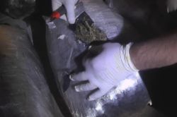 Diyarbakır’da 74 kilo esrar ele geçirildi video foto