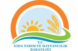 Gıdada Taklit ve Tağşiş’e ağır ceza ve ifşa uygulaması