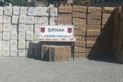 Şırnak’ta çok miktarda kaçak sigara ele geçirildi