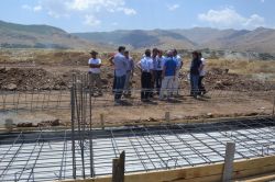 Sokak hayvanlarına barınak yapılıyor