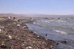 Van Gölü’nde artan kirlilik tepkilere neden oluyor