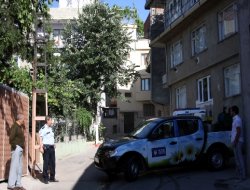 Arılar şehri bastı