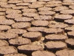 Bingöl'de Kış İçin Hazırlıklar Başladı