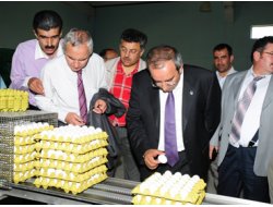 Bütün İşletmelere Bilimsel Destek Vereceğiz