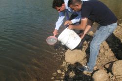 Bingöl’de gölet ve akarsulara yavru sazan bırakıldı