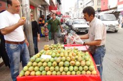 Şifa kaynağı ‘Dikenli İncir’ tezgâhlarda yerini aldı video