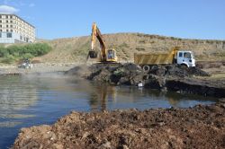 Van Gölü’nde sahil temizleme çalışması başladı