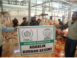 Seydişehir Gönüllüleri Adak ve Akika Kurbanları Kesti