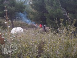 Mahalle Dibinde Fuhuş Rezaleti