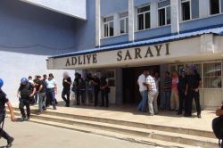 Bingöl DBP İl Başkanı ile 5 kişi tutuklandı video foto