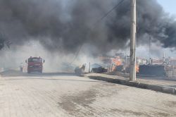 Hayvan barınağında yangın çıktı