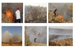 Bagok Dağı’ndaki yangın giderek büyüyor