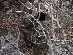 PKK'nın Yüksekova sorumlusu yakalandı