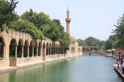 Balıklıgöl’e bu yıl da ziyaretçi akını oldu