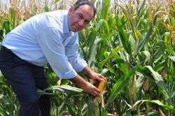 “Mısır taban fiyatı açıklanmalı”