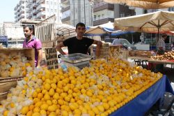 Limon cep yakmaya devam ediyor