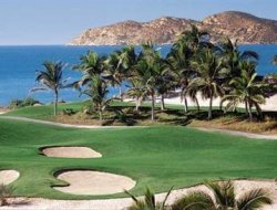 Oracle’ın CEO’su ada satın aldı