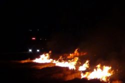 Gaziantep’te ormanlık alanı yakınlarında yangın