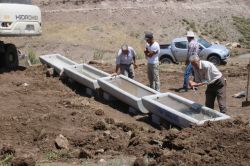 Bingöl'de hayvancılık altyapısının geliştirilmesi projesi