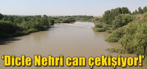 ‘Dicle Nehri can çekişiyor!’