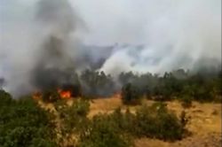 Bingöl’ün Yayladere ilçesindeki yangın devam ediyor