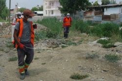 Adana’da sinek ve haşere ile mücadele başlatıldı