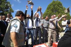 Yüzlerce keklik kene ile mücadele için doğaya bırakıldı