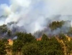 "Bingöl'deki orman yangını PKK tarafından çıkarıldı"