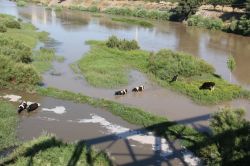 Kanalizasyon atıklarının Dicle Nehri’ne akıtılmasına tepki