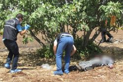 Siverek’te boş arazide bir erkek cesedi bulundu