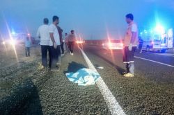 Otomobilin çarpması sonucu küçük çoban hayatını kaybetti