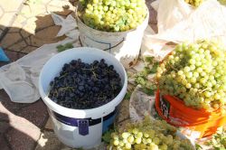Midyat’ın yerli ürünleri tezgâhlardaki yerlerini aldı