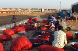 İsot üreticileri sağlıklı yer istiyor