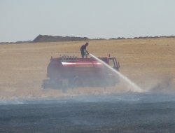 Çınar’da anız yangını video-foto