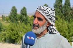 Bağcılıkta damlama ve telli terbiye sistemine rağbet artı video